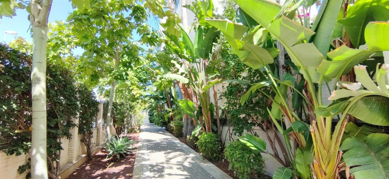 Apartamento Zephyrus By Denia Costa المظهر الخارجي الصورة